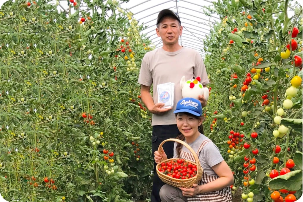 千葉県八街市の小山農園さんの画像